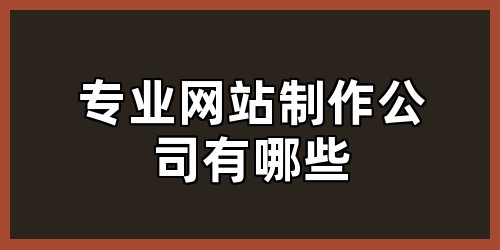 专业网站制作公司有哪些