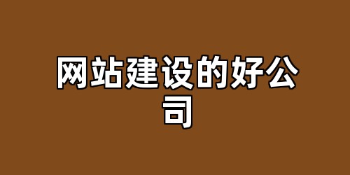网站建设的好公司